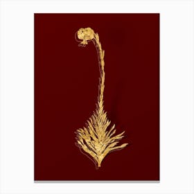 Vintage Scarlet Martagon Lily Botanical in Gold on Red n.0165 Canvas Print