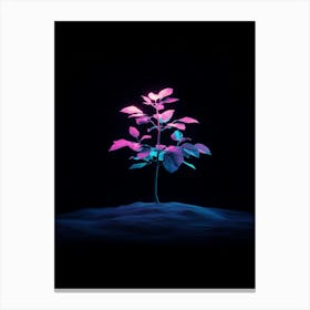 Tree In The Dark 28 Canvas Print