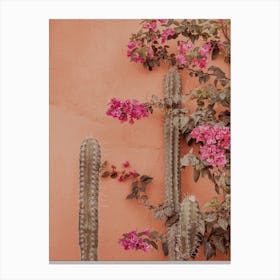 Terra Cotta Beauties Canvas Print