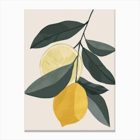 Lemons Close Up Illustration 2 Canvas Print