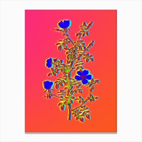 Neon Hedge Rose Botanical in Hot Pink and Electric Blue n.0281 Canvas Print