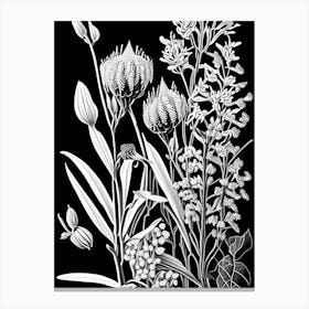 Showy Milkweed Wildflower Linocut 1 Canvas Print
