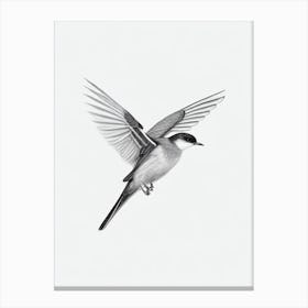 Chimney Swift B&W Pencil Drawing 3 Bird Canvas Print