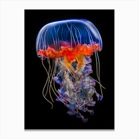 Jellyfish 1 Canvas Print