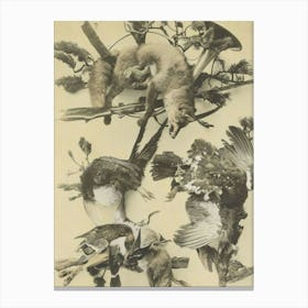 Foxes And Birds Canvas Print