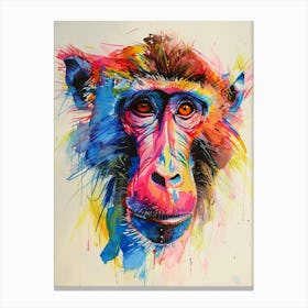 Baboon Colourful Watercolour 1 Canvas Print