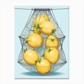 Lemons In A Net Canvas Print