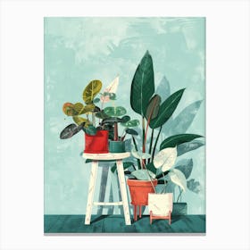 Potted Plants 3 Canvas Print