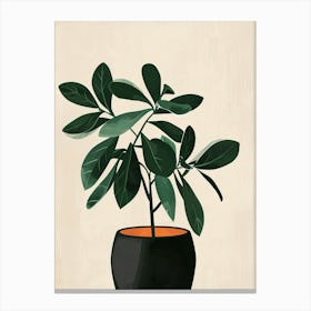 Money Tree Plant Minimalist Illustration 4 Canvas Print