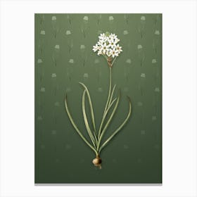 Vintage Arabian Starflower Botanical on Lunar Green Pattern n.1693 Canvas Print