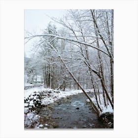 Upstate New York Snow III on Film Canvas Print