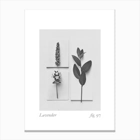Lavender Botanical Collage 3 Canvas Print