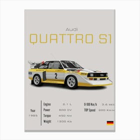 Audi Quattro S1 Canvas Print