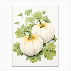 White Pumpkin Watercolour Illustration 4 Canvas Print