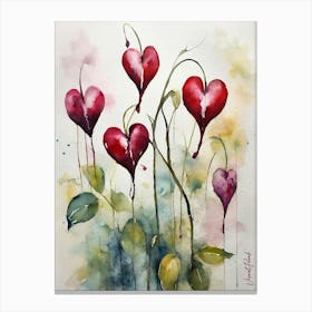 Bleeding Heart Flowers 3. Canvas Print