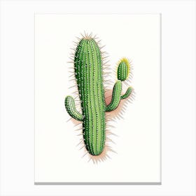 Fishhook Cactus Marker Art 2 Canvas Print