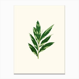 Green Leaf Plant Canvas Print