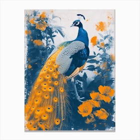 Floral Orange & Blue Peacock 3 Canvas Print