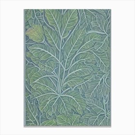 Bigleaf Maple 2 tree Vintage Botanical Canvas Print