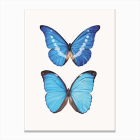 Butterflies V Canvas Print