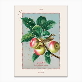Botanica - Apple Canvas Print