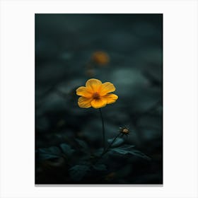 Single Yellow Flower 51 Canvas Print