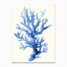 Blue Coral 4 Canvas Print