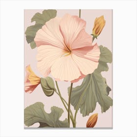 Floral Illustration Nasturtium 2 Canvas Print