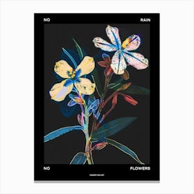 No Rain No Flowers Poster Forget Me Not 4 Canvas Print