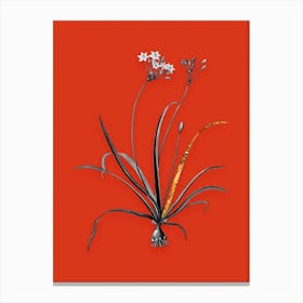 Vintage Allium Fragrans Black and White Gold Leaf Floral Art on Tomato Red n.0116 Canvas Print