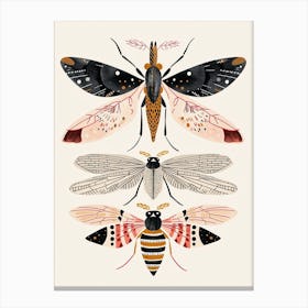Colourful Insect Illustration Fly 7 Canvas Print