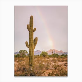 Saguaro Cactus Rainbow Canvas Print