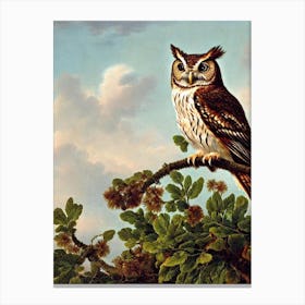 Eastern Screech Owl Haeckel Style Vintage Illustration Bird Canvas Print