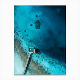 Scuba Diving In The Maldives 1 Canvas Print
