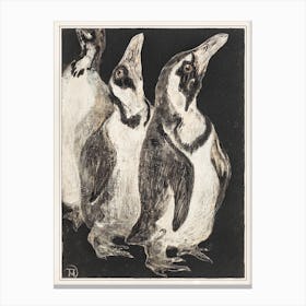 Three Penguins (1878–1906), Theo Van Hoytema Canvas Print