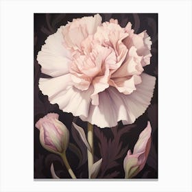 Floral Illustration Carnation Dianthus 2 Canvas Print