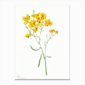 Yellow Flowers 2 Canvas Print