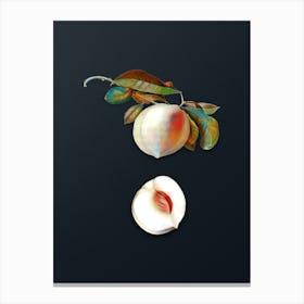 Vintage Peach Botanical Watercolor Illustration on Dark Teal Blue n.0836 Canvas Print