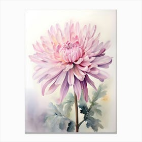 Pink Chrysanthemum Flower Canvas Print