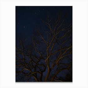 Bare Tree At Night Canvas Print