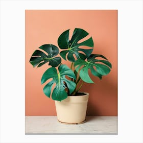 Monstera Plant 3 Canvas Print