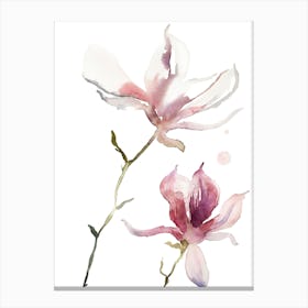 Magnolia 40 Canvas Print