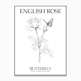 English Rose Butterfly Line Drawing 4 Poster Canvas Print