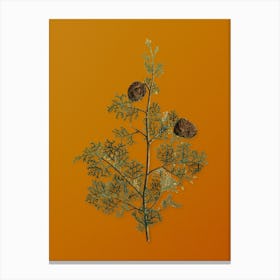 Vintage Mediterranean Cypress Botanical on Sunset Orange n.0179 Canvas Print