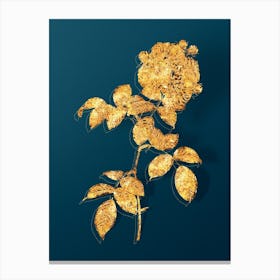 Vintage Seven Sisters Roses Botanical in Gold on Teal Blue n.0098 Canvas Print