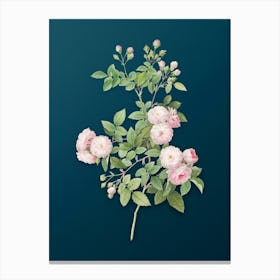 Vintage Pink Baby Roses Botanical Art on Teal Blue n.0410 Canvas Print