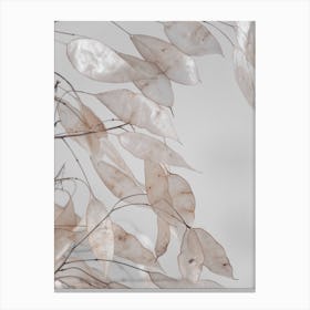 Abstract Branches Collected In The Forest Canvas Print
