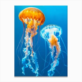 Jellyfishes 1 Canvas Print