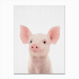 Peekaboo Pig Canvas Print