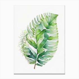 Soft Shield Fern 1 Watercolour Canvas Print